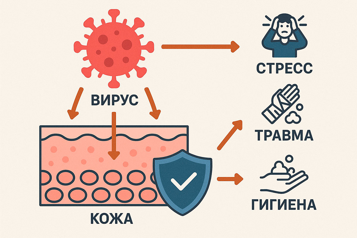 Откуда берутся бородавки