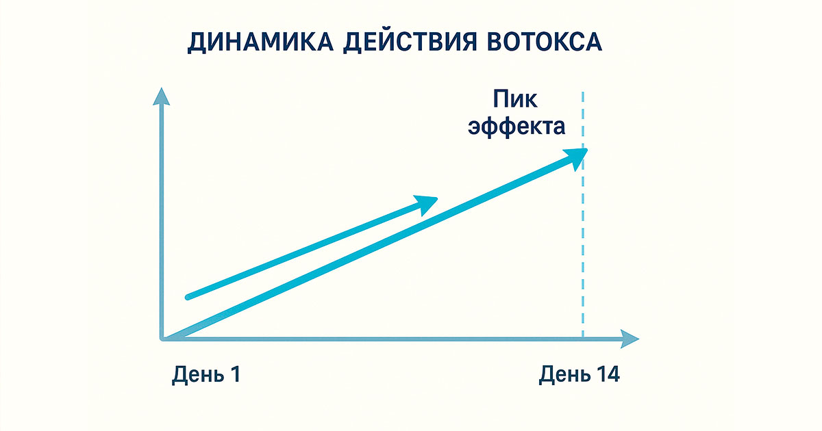 Когда начинает действовать ботокс