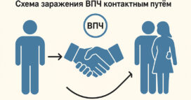 Кондиломы и папилломы отличие